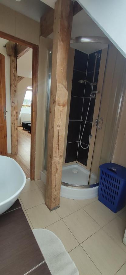 Apartament Gliwice Centrum מראה חיצוני תמונה